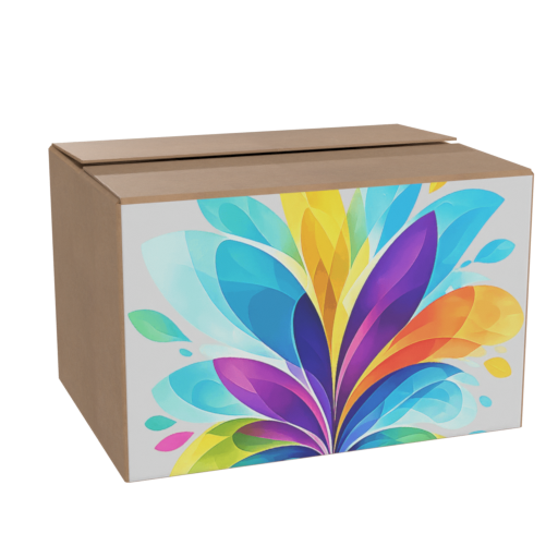 Carton Box
